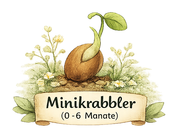 Braunes Samenkorn mit Keimling, umgeben von Blumen und der Aufschrift "Minikrabbler (0-6 Monate)".